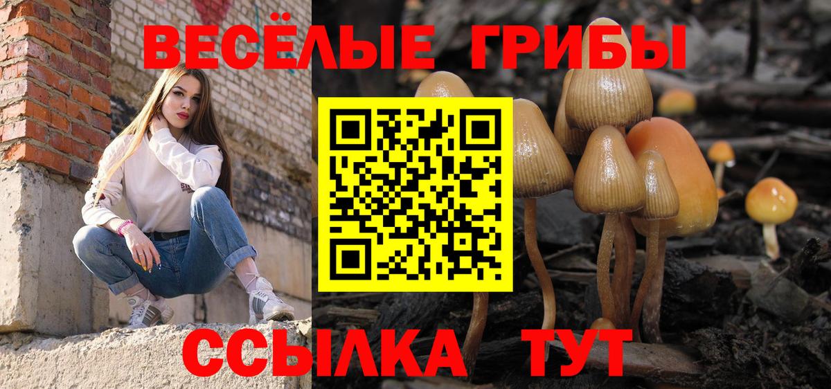Псилоцибиновые грибы прущие грибы Дюртюли