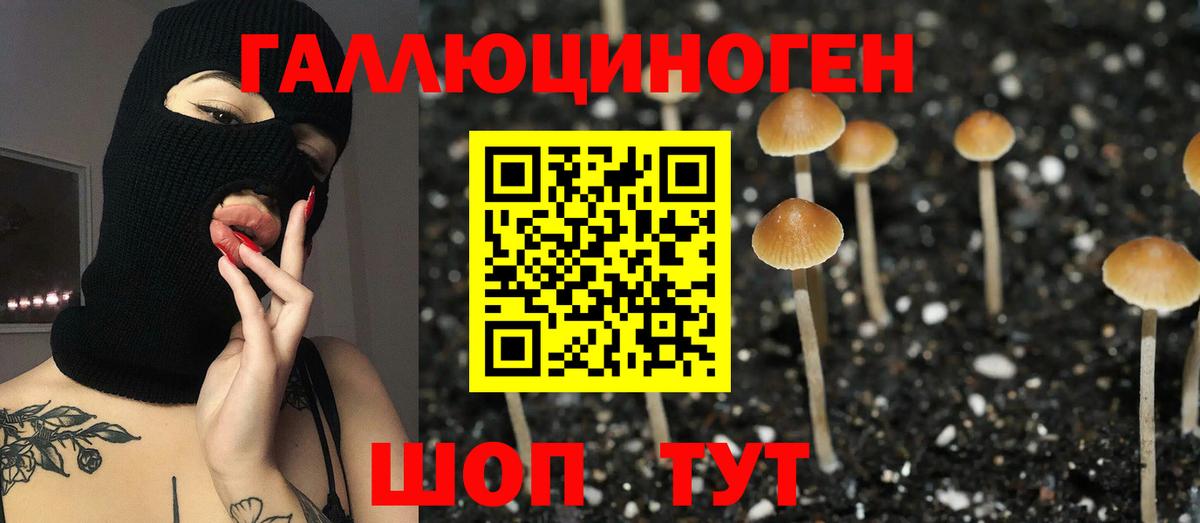 Псилоцибиновые грибы MAGIC MUSHROOMS  Вход с VPN  Дюртюли  Галлюциногенные грибы Psilocybe 